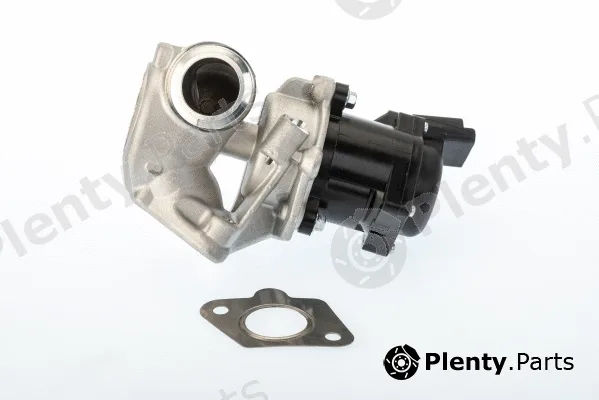 BorgWarner (Wahler) 710929D — EGR Valve
