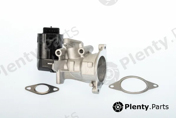 BorgWarner (Wahler) 710926D — EGR Valve