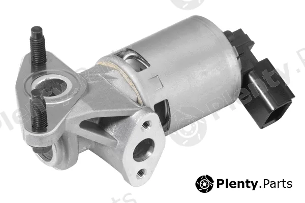 BorgWarner (Wahler) 710628D — EGR Valve