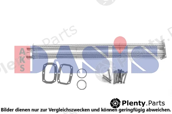 AKS Dasis 265005N — Repair Kit