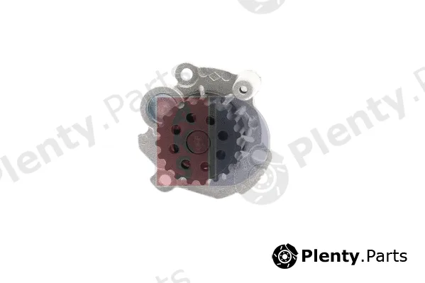 AKS Dasis 570059N — Water Pump, engine cooling