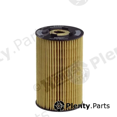 Hengst Filter E134HD06 — Oil Filter