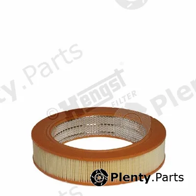 Hengst Filter E2L/1 — Air Filter