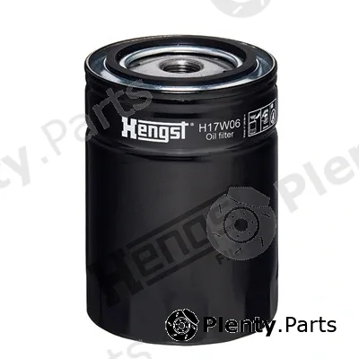 Hengst Filter H17W06 — Oil Filter
