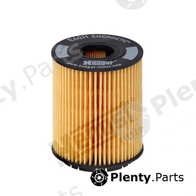 Hengst Filter E60HD110 — Oil Filter