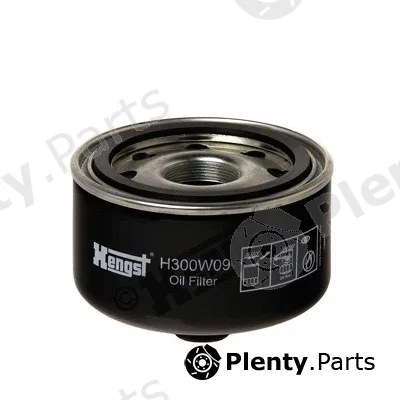 Hengst Filter H300W09 — Oil Filter