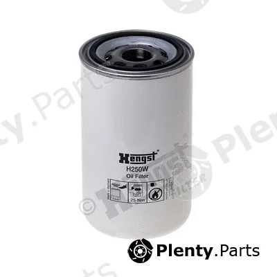 Hengst Filter H250W — Oil Filter