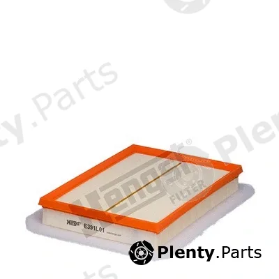 Hengst Filter E391L01 — Air Filter
