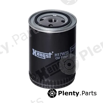 Hengst Filter H17W25 — Oil Filter