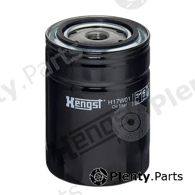 Hengst Filter H17W01 — Oil Filter