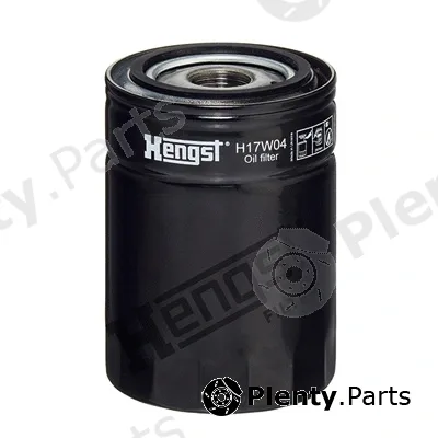 Hengst Filter H17W04 — Oil Filter