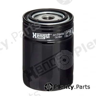 Hengst Filter H17W09 — Oil Filter