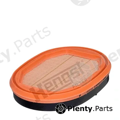 Hengst Filter E1669LS — Secondary Air Filter