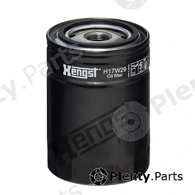 Hengst Filter H17W29 — Oil Filter