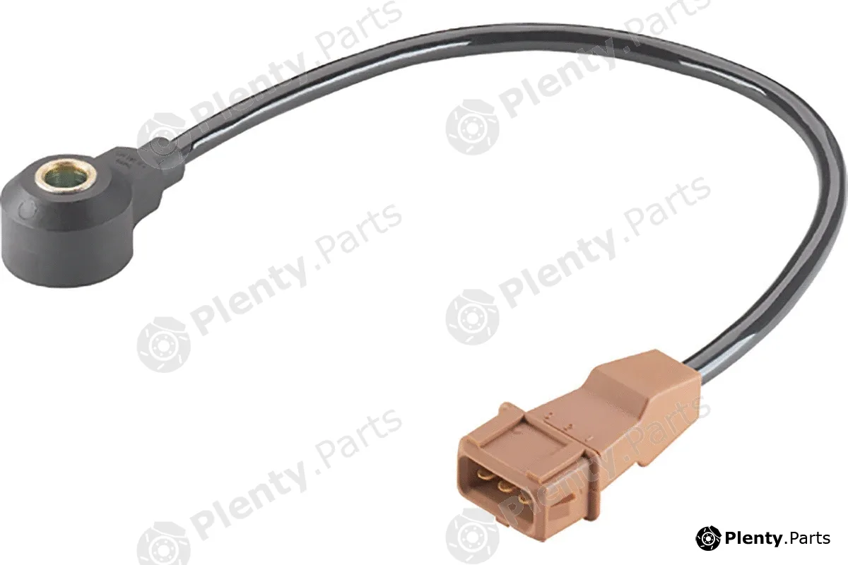 Continental/VDO S119054003Z — Knock Sensor