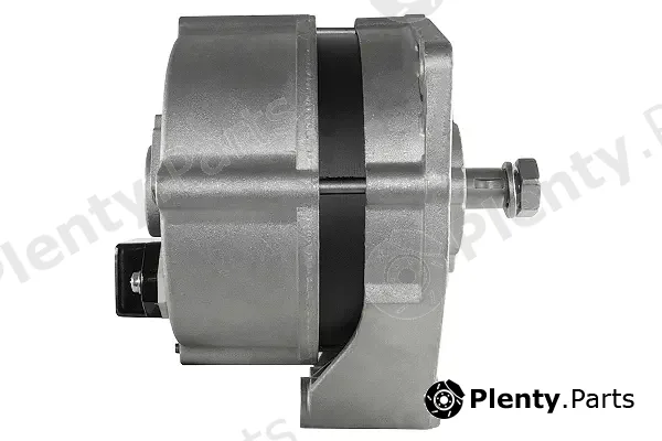 Friesen 9031020 — Alternator
