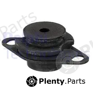 Delphi TEM109 — Mounting, engine