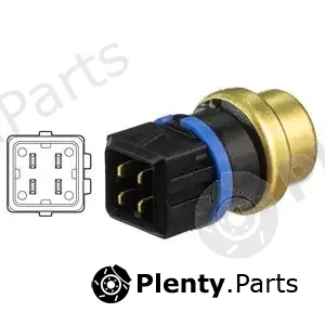 Delphi TS10516 — Sensor, intake air temperature