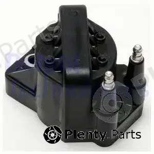 Delphi GN10161 — Ignition Coil