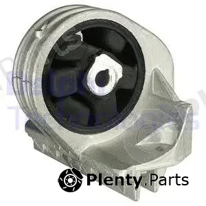 Delphi TEM050 — Mounting, engine