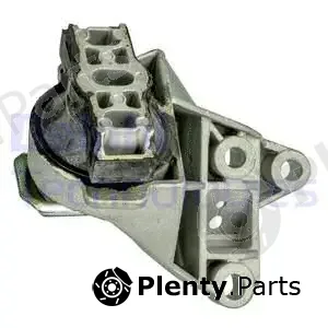 Delphi TEM105 — Mounting, engine