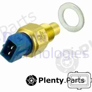 Delphi TS10508 — Sensor, coolant temperature