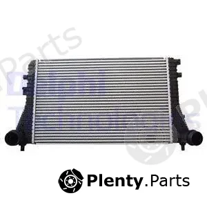 Delphi TSP0755002 — Charge Air Cooler