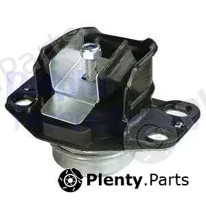 Delphi TEM046 — Mounting, engine
