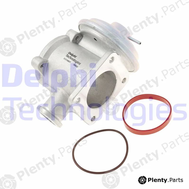 Delphi EG10657-12B1 — EGR Valve