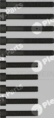 Victor Reinz 14-32039-01 — Cylinder Head Bolt Set