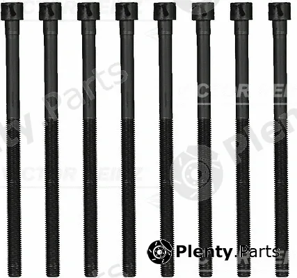 Victor Reinz 14-13082-02 — Cylinder Head Bolt Set