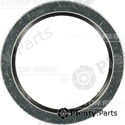 Victor Reinz 70-31861-00 — Seal Ring, oil drain plug