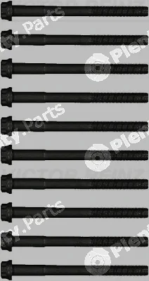 Victor Reinz 14-15219-01 — Cylinder Head Bolt Set