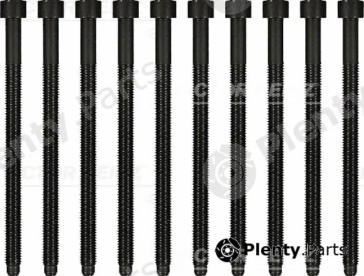 Victor Reinz 14-32121-01 — Cylinder Head Bolt Set