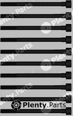 Victor Reinz 14-55008-01 — Cylinder Head Bolt Set