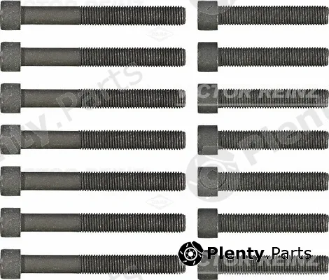 Victor Reinz 14-32039-02 — Cylinder Head Bolt Set