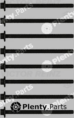 Victor Reinz 14-18916-01 — Cylinder Head Bolt Set