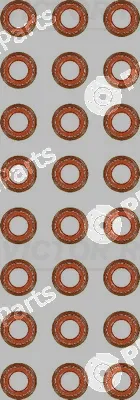 Victor Reinz 12-39489-01 — Seal Set, valve stem