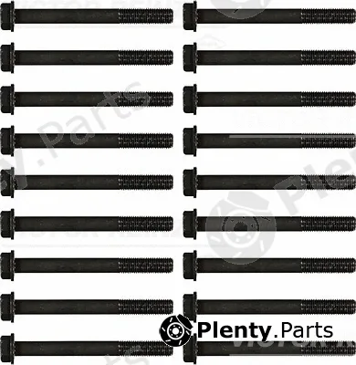 Victor Reinz 14-55041-01 — Cylinder Head Bolt Set