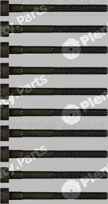 Victor Reinz 14-32017-01 — Cylinder Head Bolt Set
