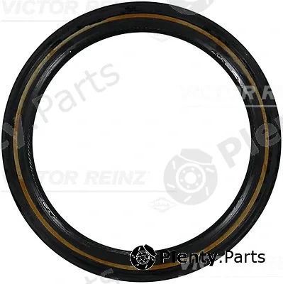 Victor Reinz 81-34417-10 — Shaft Seal, crankshaft