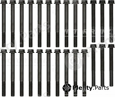 Victor Reinz 14-10023-01 — Cylinder Head Bolt Set