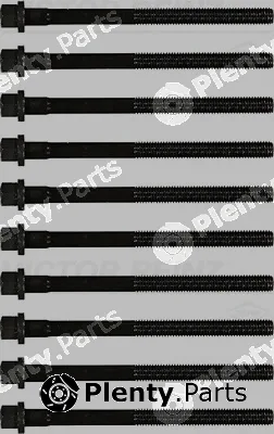 Victor Reinz 14-32013-01 — Cylinder Head Bolt Set