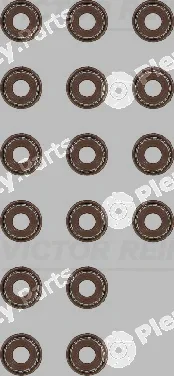 Victor Reinz 12-53036-01 — Seal Set, valve stem