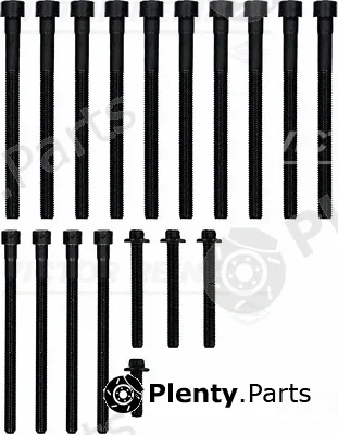 Victor Reinz 14-32309-02 — Cylinder Head Bolt Set