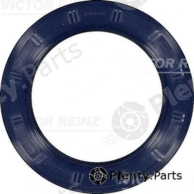 Victor Reinz 81-53313-00 — Shaft Seal, crankshaft
