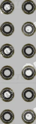 Victor Reinz 12-36206-01 — Seal Set, valve stem
