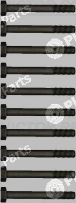 Victor Reinz 14-32011-01 — Cylinder Head Bolt Set