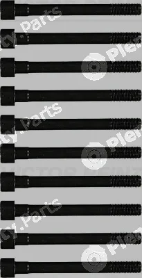 Victor Reinz 14-55012-01 — Cylinder Head Bolt Set
