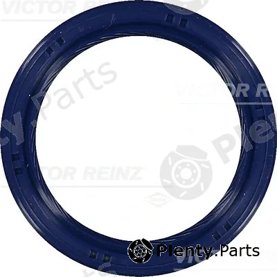 Victor Reinz 81-53699-00 — Shaft Seal, crankshaft